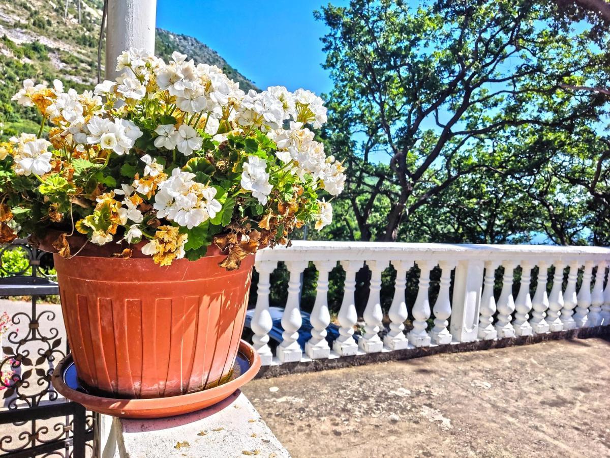 Dubrovnik Moonshine Apartment Mlini Exterior foto